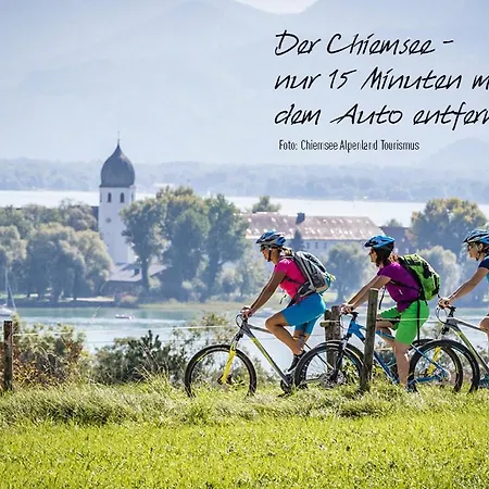My My Rosenheim