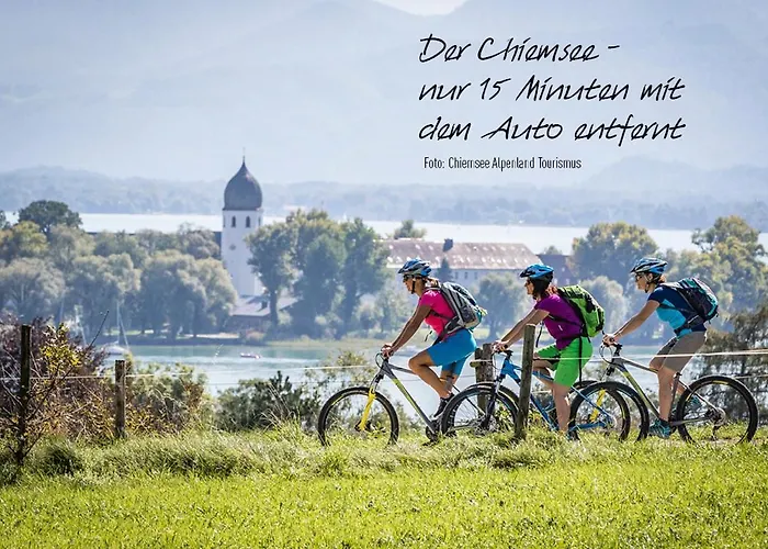My My Rosenheim